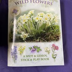 Lets look for Wild Flowers 