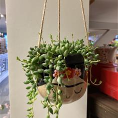 Frida hanging pot ( ex plant) 