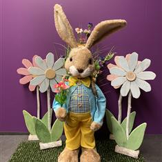 Mr Spring Time Bunny 