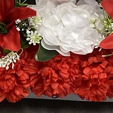 Grotto 14 10 12 06 59 Grotto 14 10 12 06 59