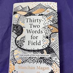 Thirty Two Words for Field