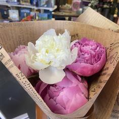 Peony Bouquet- limited