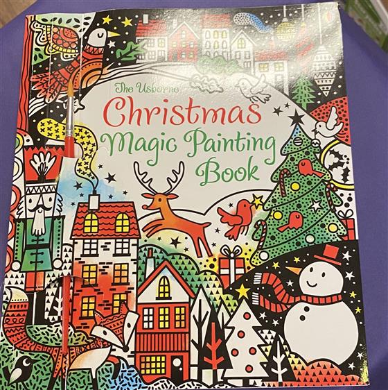 Christmas Magic Painting Book